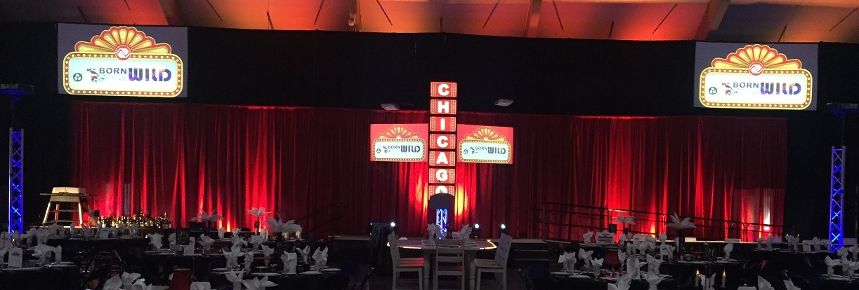Auction